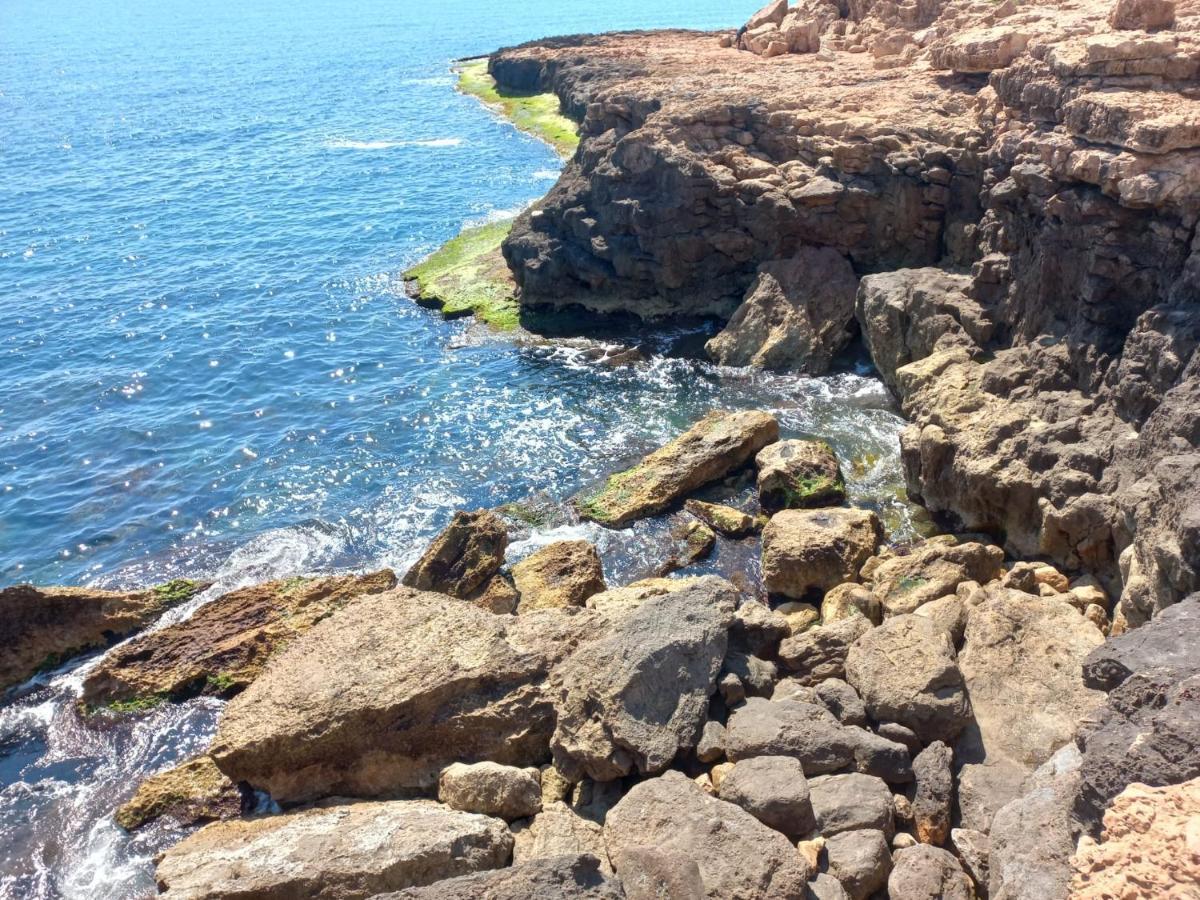 Apartment Only 250M From The Beach Los Locos Torrevieja Buitenkant foto