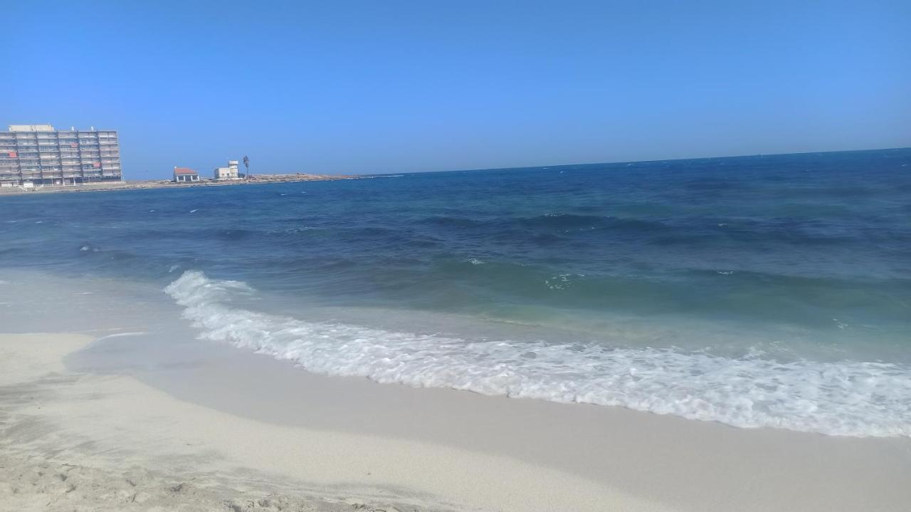 Apartment Only 250M From The Beach Los Locos Torrevieja Buitenkant foto