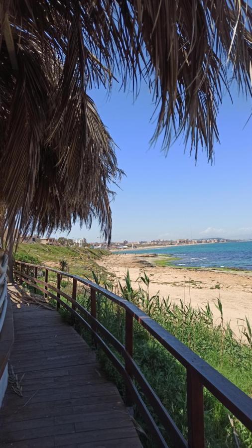 Apartment Only 250M From The Beach Los Locos Torrevieja Buitenkant foto